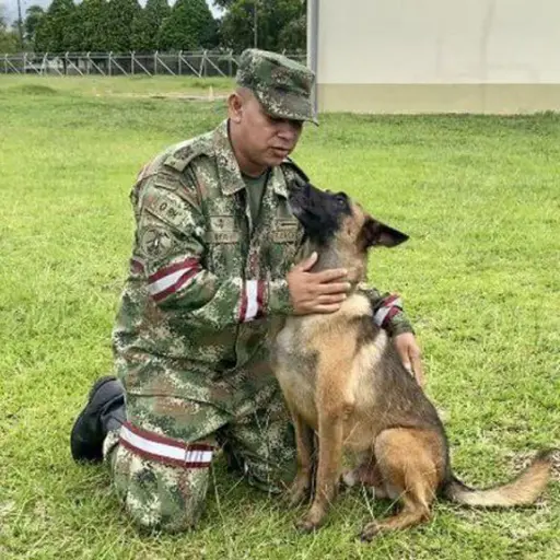 Foto: Ejército Nacional de Colombia