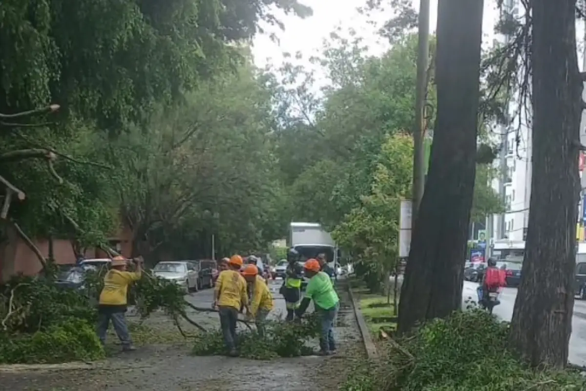 Foto: PMT capitalina