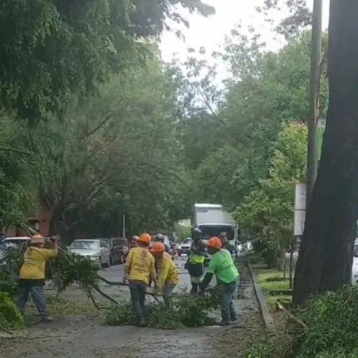 Foto: PMT capitalina