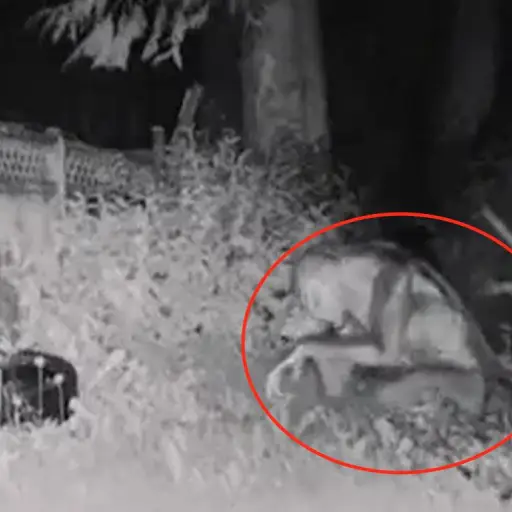 Captura de pantalla video. 