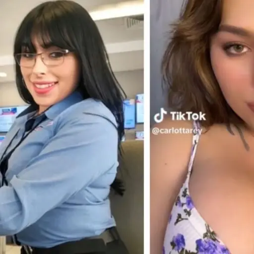 modelo-onlyfans-mujer-vendedora ,