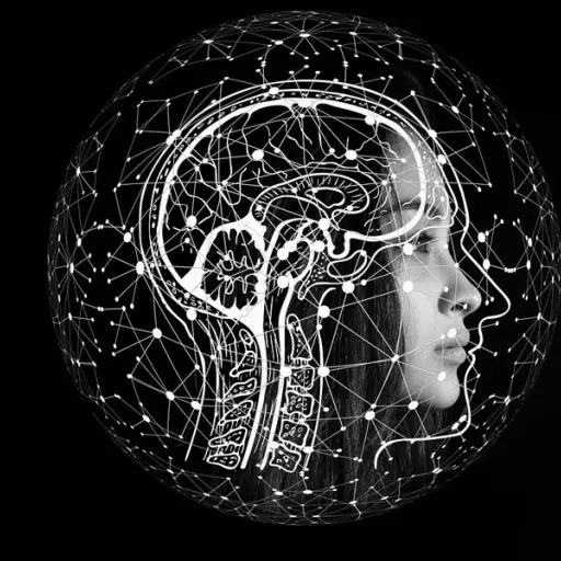 Foto ilustrativa: Pixabay.com