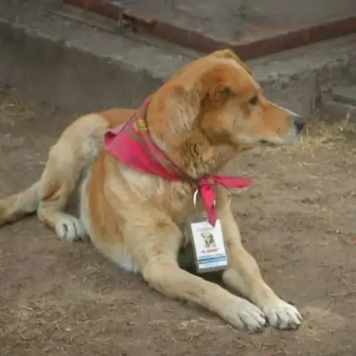 Captura de pantalla Facebook Radio y Televisión de Aguascalientes