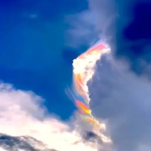 Captura de pantalla video TikTok. 