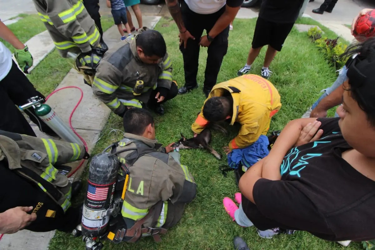 Foto: Bomberos Voluntarios
