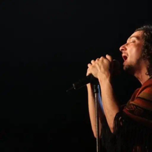 leon-larregui-habla-extrano-durante-concierto ,