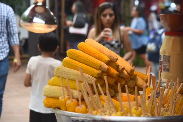 feria del cerrito del carmen 2 | 