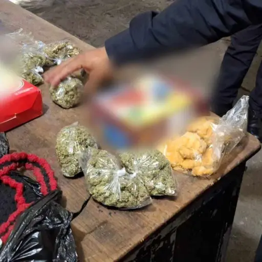 ocultaba-droga-cajas-alitas-pechuguitas ,