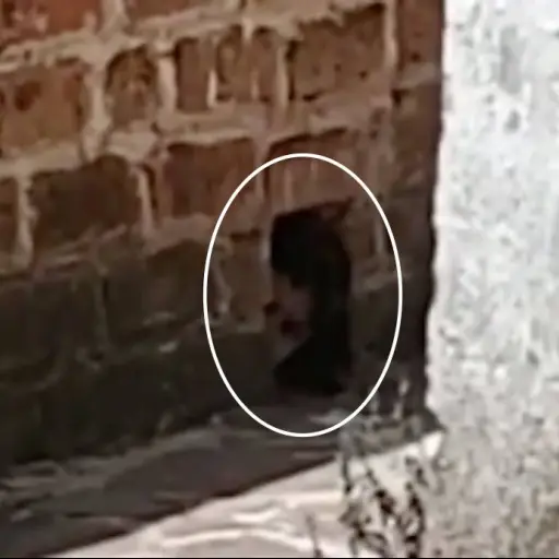 Captura de pantalla video. 