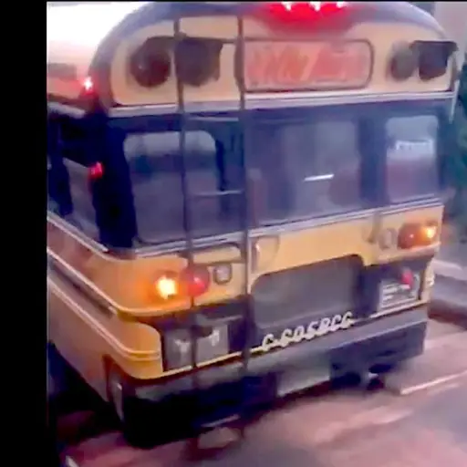 Captura de pantalla video. 