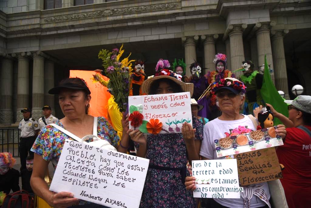 Marcha democracia 2 | 