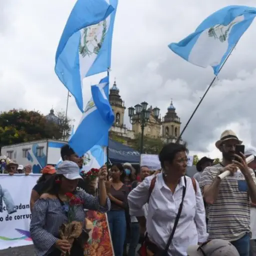 marcha-por-la-democracia-990x556-1.jpg ,
