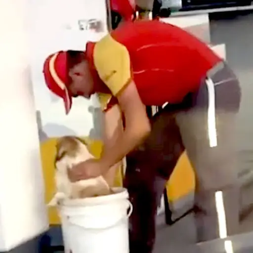 Captura de pantalla video Facebook. 