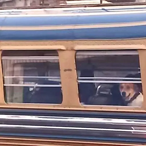 Foto: Henry Quevedo/X.