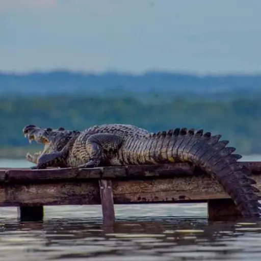 Foto: L.K.S FOTOgraphi.