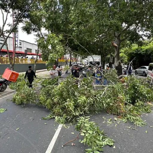 Foto: Bomberos Voluntarios