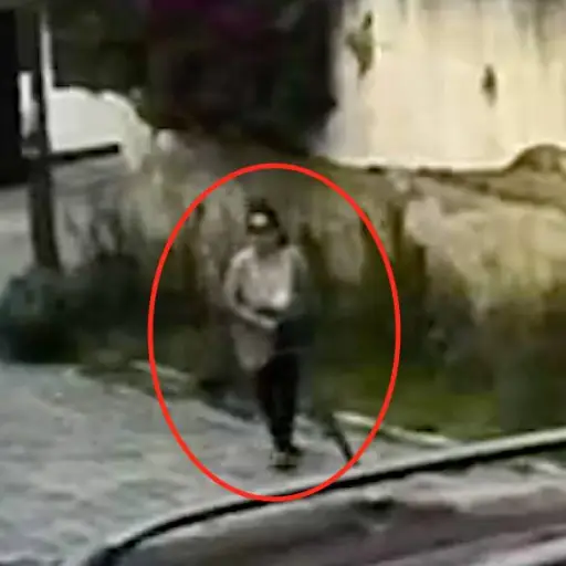 Captura de pantalla video X. 