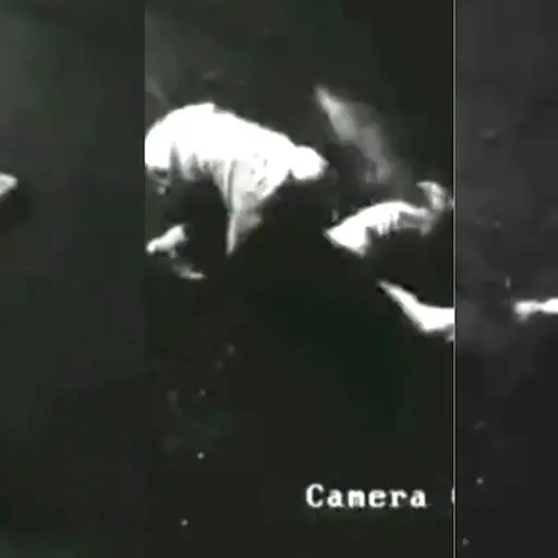 Captura de pantalla video. 