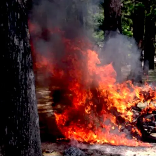 Imagen con fines ilustrativos.