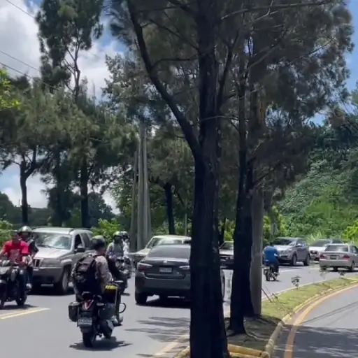 Foto: PMT capitalina