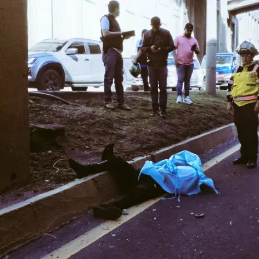 motorista periferico ,