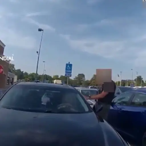 Captura de pantalla X.