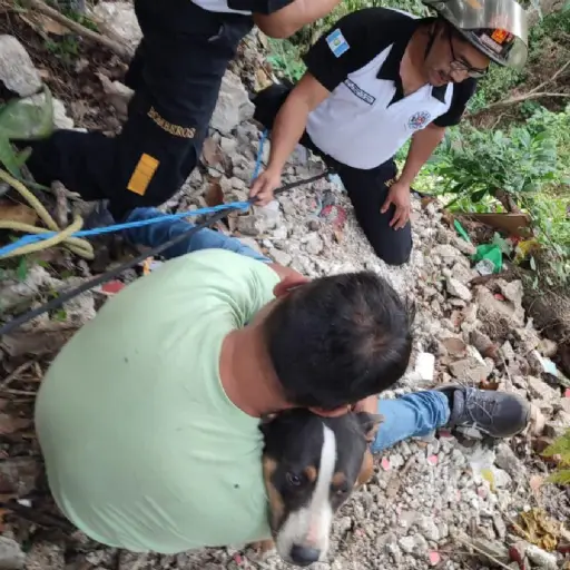 Foto: Bomberos Voluntarios