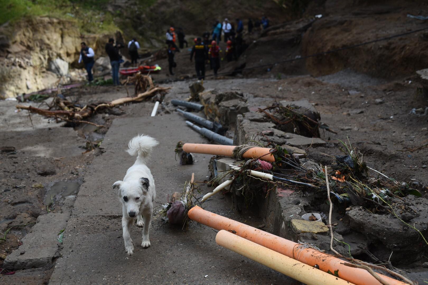 desaparecidos-lluvias-puente-el-naranjo-emisoras-unidas1 | 