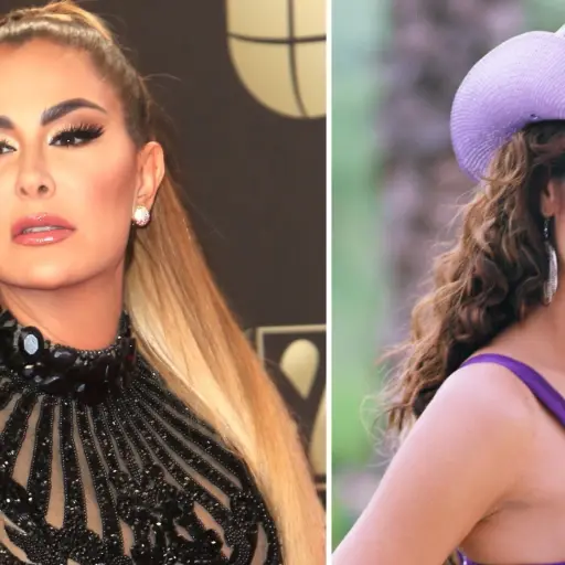 ninel conde rostro ,