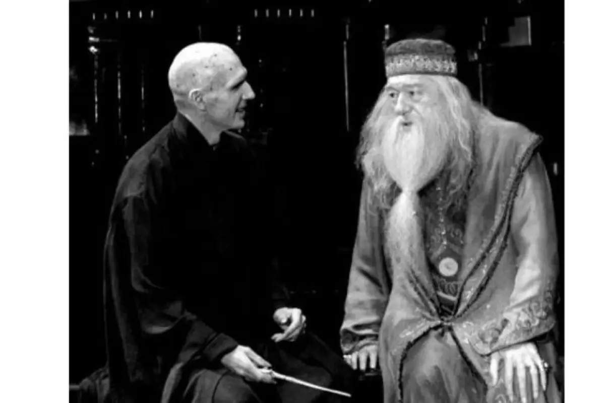 Michael Gambon Dumbledore Harry Potter, 