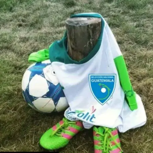 Memes de Guatemala tras la derrota ante Panamá (4) ,