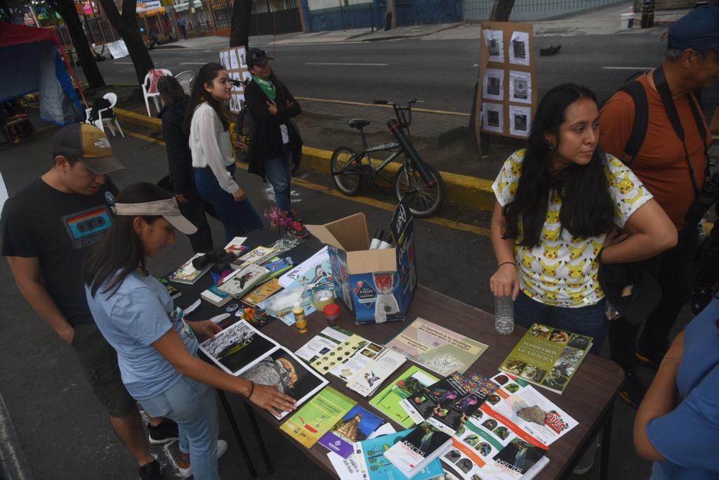 Club Observadores de Aves Urbanas - USAC 5 | 