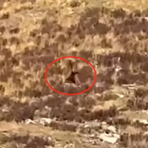 Captura de pantalla video de Instagram. 