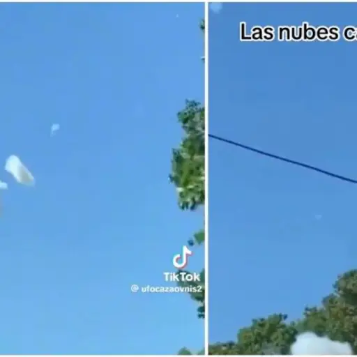 Captura de pantalla video de TikTok.