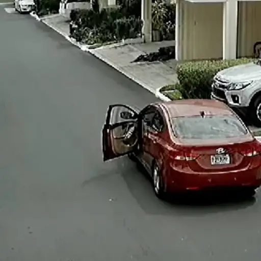 Captura de pantalla video X. 