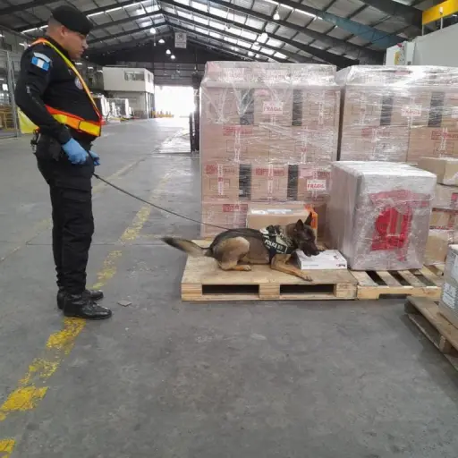 Foto: Ministerio Público