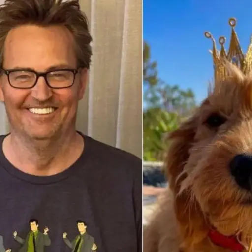 Matthew Perry perro adopción ,