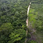 MARN sobre bonos de carbono: Es un pago por un servicio ambiental que incentiva a mantener el bosquet