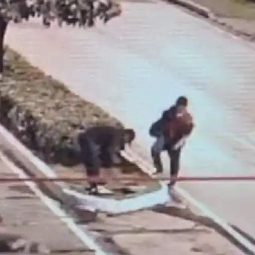 Foto: PMT capitalina