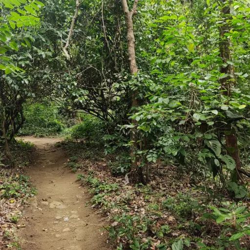 Foto: Zoo Nicaragua/X