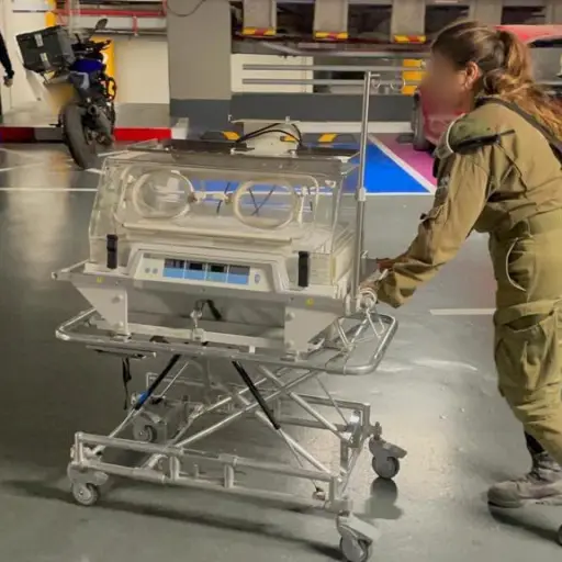 bebes-evacuados-de-hospital-en-gaza ,