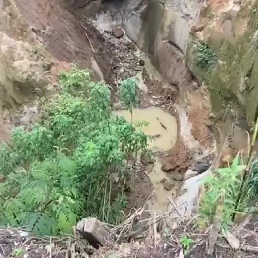 Foto: Captura de pantalla