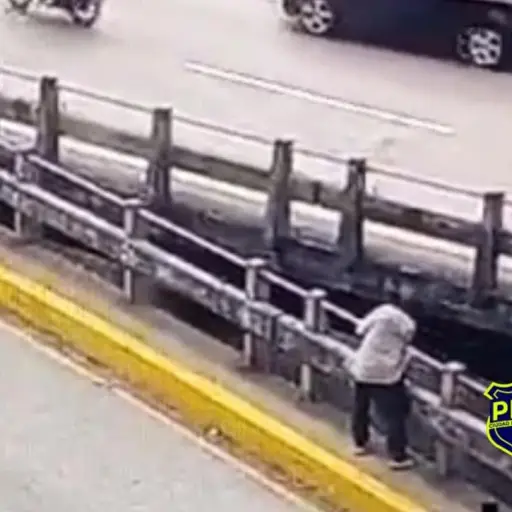 Foto: PMT capitalina