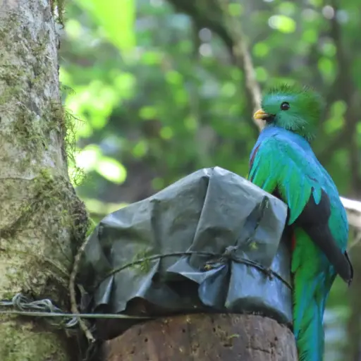 Imagen de WhatsApp 2023-11-24 a las 10.00.06_6188030f ,