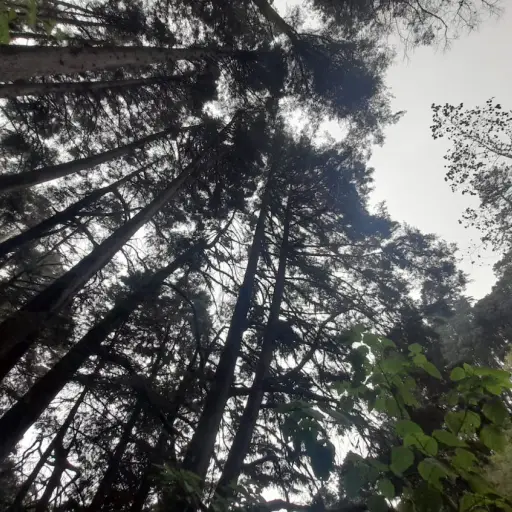 Foto: Sandy Sandoval