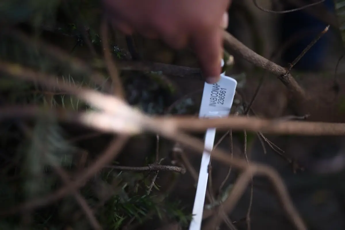 Foto: Edwin Bercián/EU