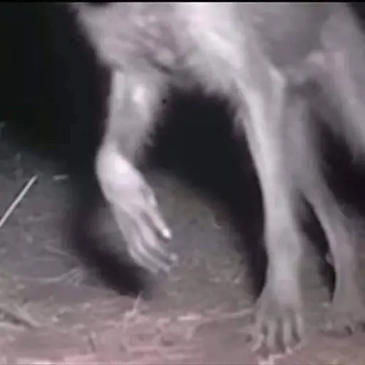 Foto: @choreroliterario/X.