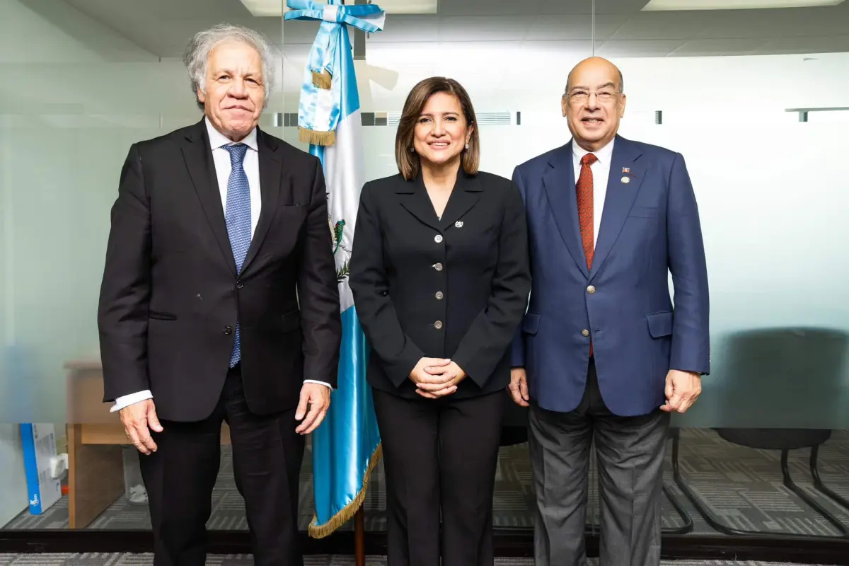 karin herrera reunión oea diciembre 2023, 