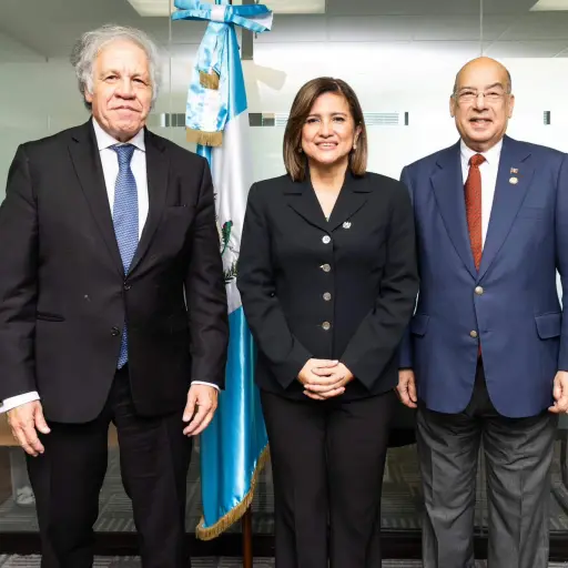 karin herrera reunión oea diciembre 2023 ,