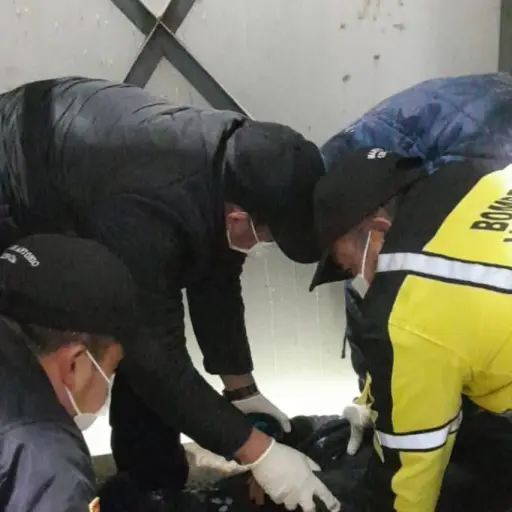 Foto: Bomberos Voluntarios